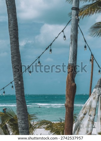 String lights hanging between palm trees overlooking turquoise ocean in Holbox, Mexico.