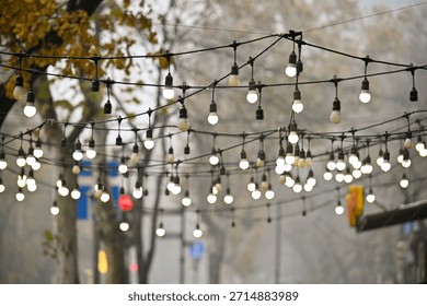 A string of lights hanging from a tree. The lights are white and are hanging from a wire