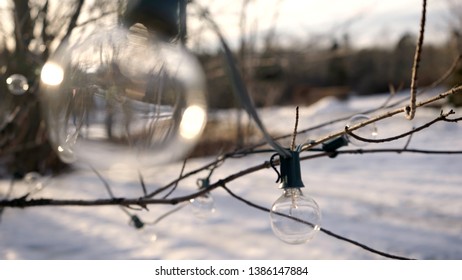 String Lights hung in Branches - Powered by Shutterstock - Get 15% off with code: PIKWIZARD15