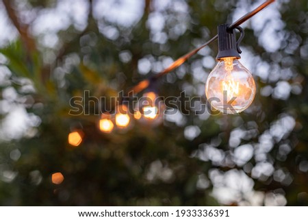 The string of lights illuminates the dark night - a cozy atmosphere