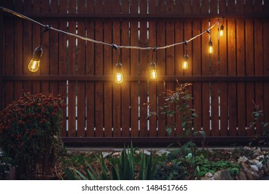 String Lights In A Yard 