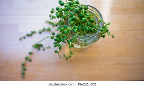 String of pearls propagation in water