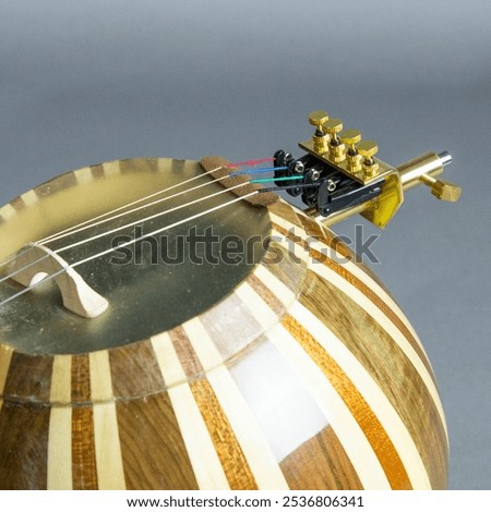 The String Peg of Persian Kamancheh