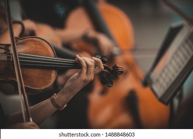 String quartet with cello in the background - Wallpaper, Background - Shutterstock ID 1488848603