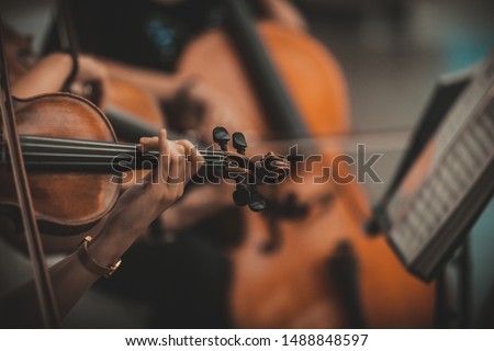 String quartet with cello in the background - Wallpaper, Background