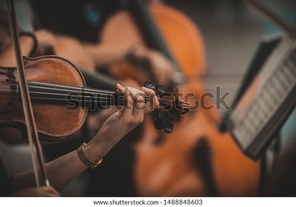 String quartet with cello in the background -\
Wallpaper, Background