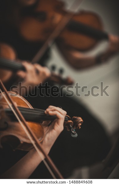 String quartet with cello in the background -\
Wallpaper, Background