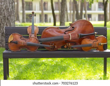 String Quartet. Cello. Viola. Violin. Live Music. Concert In The Forest