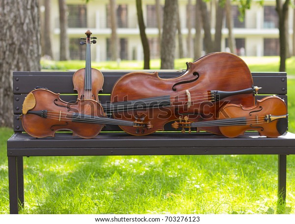 String Quartet. Cello. Viola. Violin. Live music.\
Concert in the forest