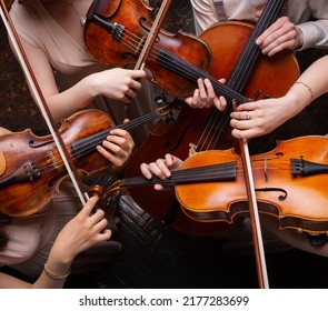 String quartet (violins, cello, alt (viola)), view from above - Shutterstock ID 2177283699
