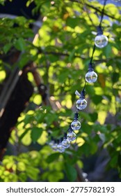 String of round globe light bulbs hanging diagonally between tree branches, white product label visible on wire, lush blurred green foliage background, bright natural light, Huashan 1914 Park Taipei.