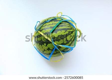 A string that makes it easy to carry a watermelon on a white background and a fresh and ripe green watermelon 