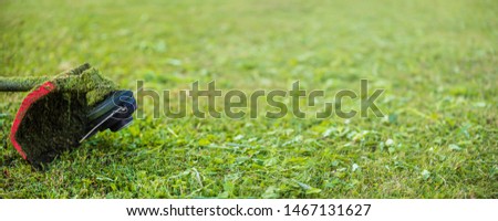 String trimmer on mown grass. Banner format background with copy space. Theme of lawn care services, tool rental or repair
