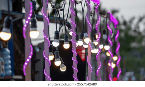  string of white LED lights wrapped around a purple cord.