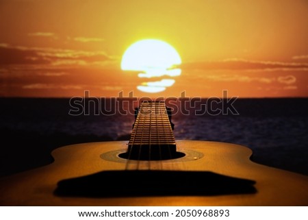stringed musical instrument at sunset