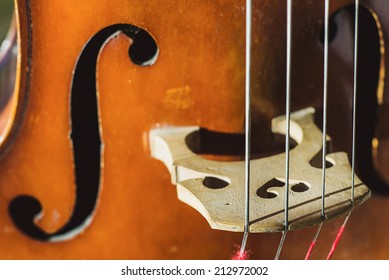 strings of an old contrabass closeup