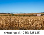 Strip cropping in Wisconsin farmland in November, horizontal