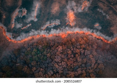 A strip of Dry Grass sets Fire to Trees in dry Forest: Forest fire - Aerial drone top view. Forest fire: fire with smoke from the height of a bird flight.