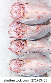 Striped Bass Filleted On Ice