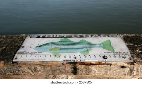 striped bass regulation sign