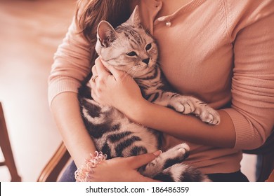 Striped Cat Lying In Woman Hands