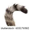 tail isolated