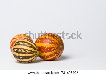 Striped little decorative pumpkins on a white background