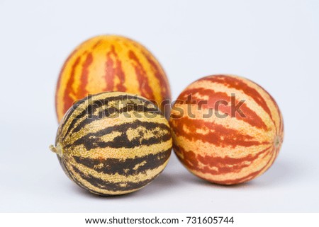 Striped little decorative pumpkins on a white background