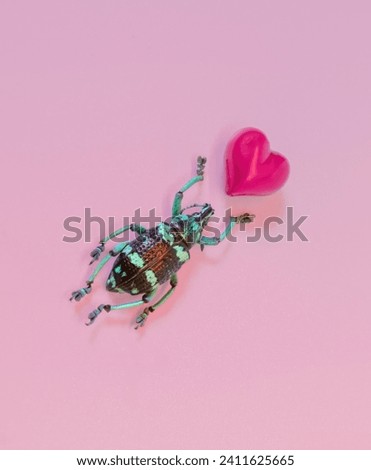 Striped Love Bug Beetle Insect with Pink Heart on a Pastel Background