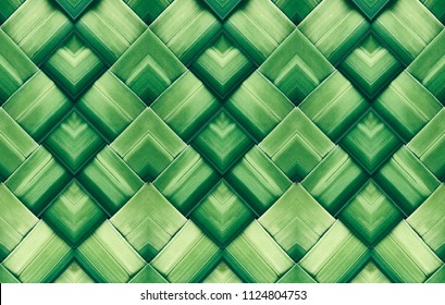 Striped of palm leaf, Abstract green texture background