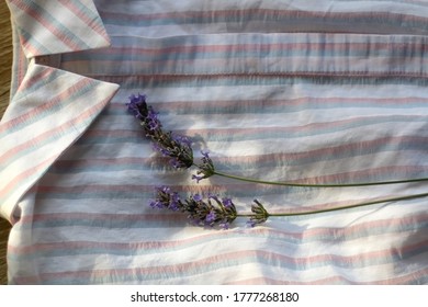 Striped Pastel Blouse And Lavender Flower. Top View.