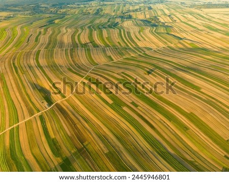 Striped plowed field, roads and slanting sunset shadows from trees on yellow and green field near Suloszowa village in Krakow County