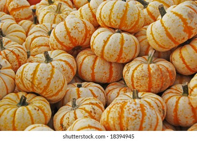 Striped Pumpkins
