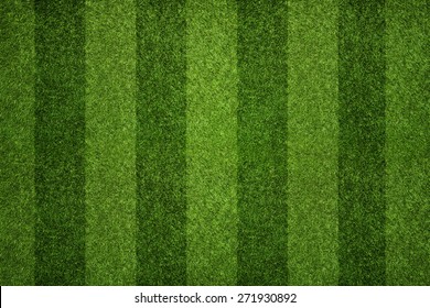 Striped soccer field texture, background with copy space