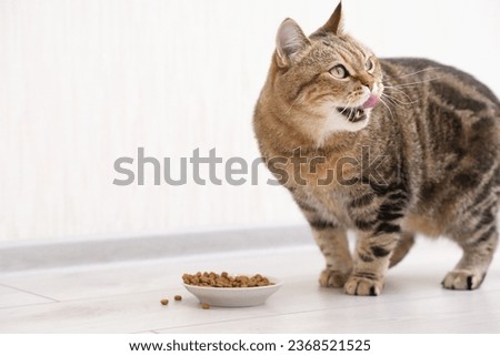 a stripped brown red cat is eating cat food in ligt kitchen.