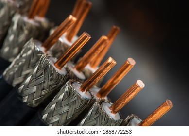 Stripped Coax Cable Closeup On Dart Soft Background