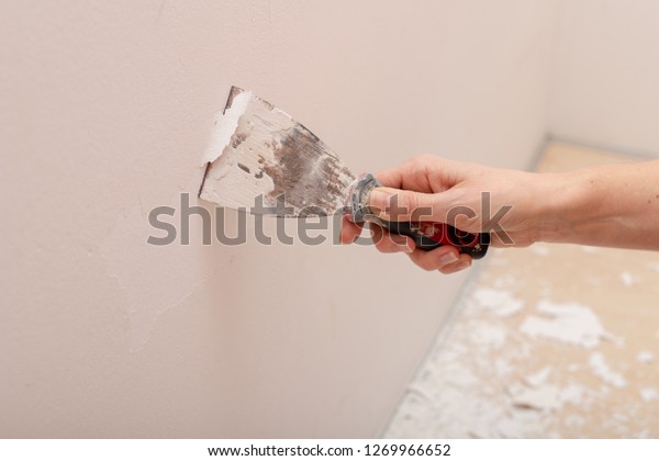 Stripping Old Paint Wall Renovation Painting Stock Photo Edit Now