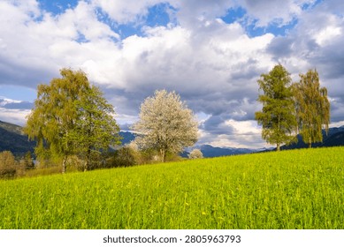 Strobl am Wolfgangsee in spring