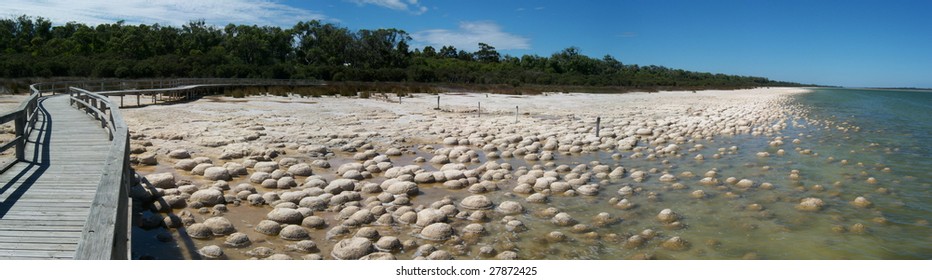 Stromatolites, Lake Clifton, WA 3