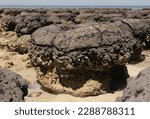 Stromatolites or stromatoliths (from Ancient Greek στρῶμα (strôma), GEN στρώματος (strṓmatos) 