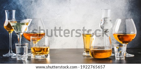 Strong alcoholic drinks in glasses in assortment: vodka, cognac, tequila, brandy and whiskey, grappa, liqueur, vermouth, tincture, rum. Gray bar counter with copy space