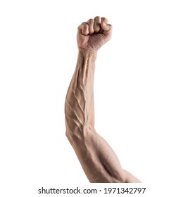 Strong Arm And Hand Veins On White Background. Object Images For Graphic Design