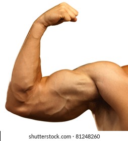 strong-biceps-on-white-background-260nw-81248260.jpg