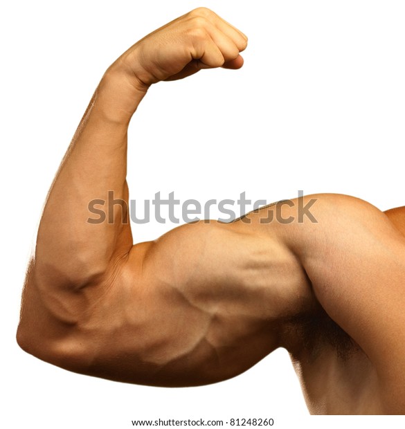 Strong Biceps On White Background Stock Photo (Edit Now) 81248260