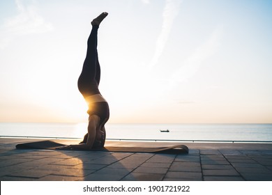 Strong Female With Athletic Body Standing On Hands And Head In Asana Stretching Muscles, Caucasian Woman Practice Yoga Meditation At Embankment Keeping Healthy Lifestyle For Physical Wellness