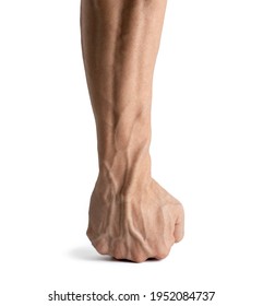 Strong Fist And Hand Veins On White Background