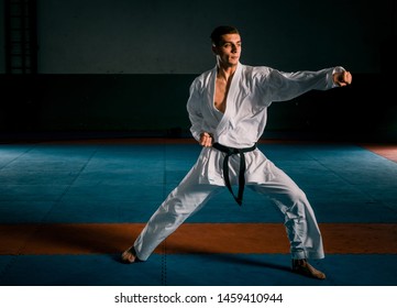 Strong Fit Athlete Karate Man Fighter Stock Photo 1459410944 | Shutterstock