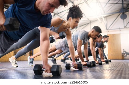 Strong, fitness and gym people with dumbbell teamwork training or exercise community, accountability and group. Sports diversity friends on floor in pushup muscle workout, power and wellness together - Shutterstock ID 2224616605