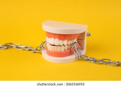 Strong And Healthy Teeth. Plastic Model Of A Human Jaw Gnaws Through A Steel Chain On Yellow Background