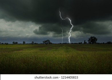 Strong Lightning In Harvesting Rice Field